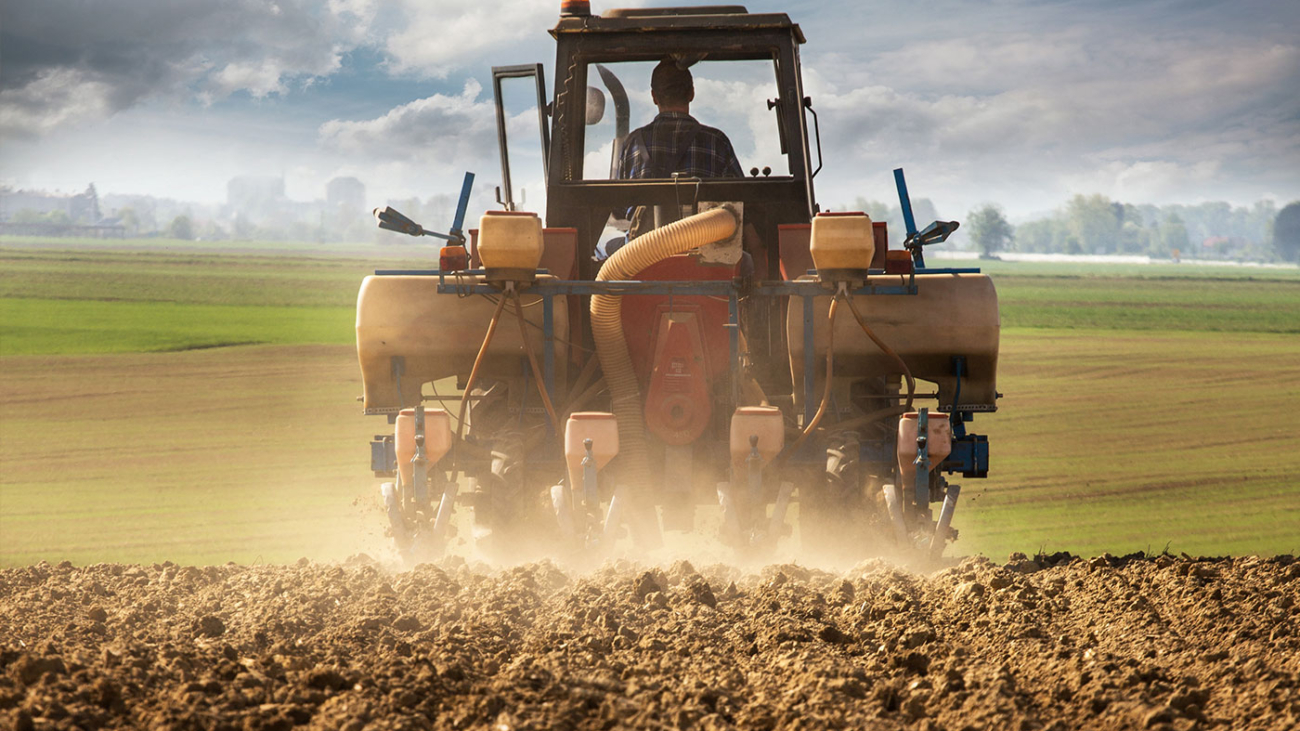 primer-jardinero-cortando-ramas-secas