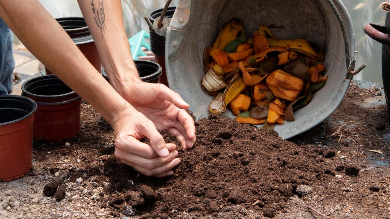 compost-concepto-naturaleza-muerta